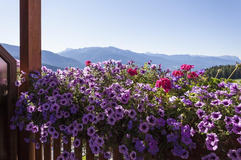 Hotel Bacherhof مارانزا المظهر الخارجي الصورة
